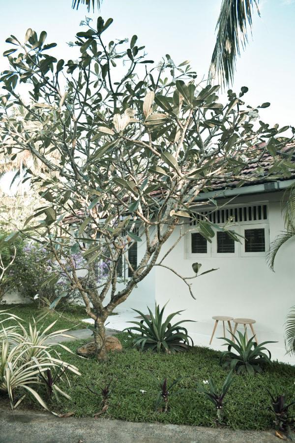 Casa Gitano Hotel Ahangama Buitenkant foto